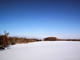 おやじの日記 霧氷 過冷却水 霧氷 情景 樹氷