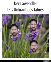 Wieso nicht manuel neuer memes oder thomas müller memes sondern michael wendler memes wieso? 14 Wendler Ideen Lustige Bilder Witzig Lustig