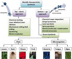 In recent days, manganese oxide nanoparticles (mno2 nps) have intrigued material science researches extensively due to its wide range of green synthesis utilizes plants and microorganisms for the synthesis of nps 75,76. Green Synthesis Of Metals And Their Oxide Nanoparticles Applications For Environmental Remediation Journal Of Nanobiotechnology Full Text