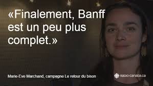 Des bisons s'installent à Banff