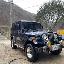 Image result for Touchan Blue 1994 SsangYong