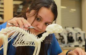 DRONES TAKE WILDLIFE RESEARCH INTO THE FUTURE