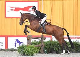 Heritage Farm: Beyond the Ingate