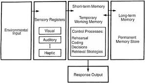 Information Processing