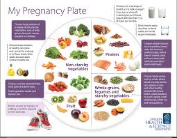 Healthy Diet Chart In Pregnancy My Plate A Blueprint For