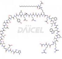 α-Glu(side chain)-Liraglutide