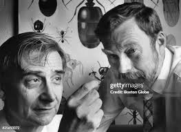 143 Bert Wilson Stock Photos, High-Res Pictures, and Images