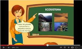 Los bosques y zonas verdes en el planeta disminuyes, y sin embargo aumentan las zonas urbanas. Que Es Un Ecosistema Los Grandes Ecosistemas Del Mundo
