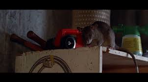 Willard 3 at Why So Blu?