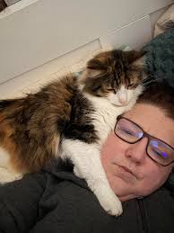 Nonna, where is my bed in your office, and why is the cat bed in here"???