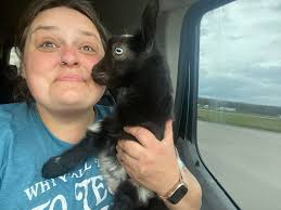 We only needed milk and bread.🙂