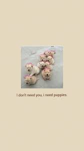 Dog Aesthetic Wallpapers Top Free Dog Aesthetic Backgrounds Wallpaperaccess Image about pink in wallpaper by yuki or on we heart it. dog aesthetic wallpapers top free dog