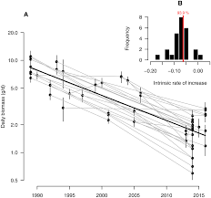 Decline In Insect Populations Wikipedia