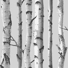 Black And White Birch Tree Wallpaper Birch Tree Wallpaper Soft Grey White Ilw980070 Birch Tree Wallpaper Birches Wallpaper White Birch Trees