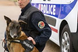 Vers la création d’une brigade cynophile à Rodez ? - Aveyron - Le Petit Journal