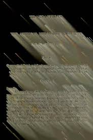 Image result for Indigofera fuscobarbata