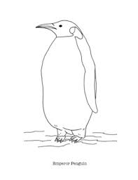 Maybe you would like to learn more about one of these? Emperor Penguin Coloring Page By Mama Draw It Teachers Pay Teachers