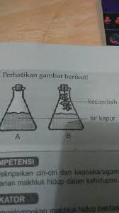 Check spelling or type a new query. 63 Gambar Air Kapur Paling Keren Gambar Pixabay