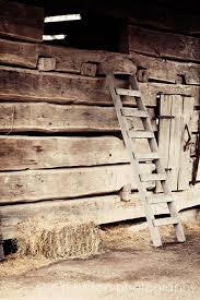 Rustic Farmhouse Photography Print Barn Country Decor Farm Living Room Wall Art Fixer Upper Ladder Farm Photography Farm Decor Rustic Farms