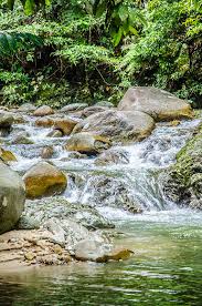 Seremban, 43 miles (70km) southeast of kuala lumpur, wears its charms lightly. Dusun Rainforest Resort In Seremban Huislaw Com