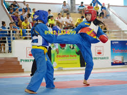 Thảm Tập Luyện Võ 1mx1mx20mm