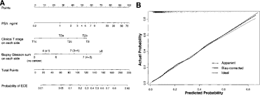 Use census records and voter lists to see where families with the pintex surname lived. Predicting The Presence And Side Of Extracapsular Extension A Nomogram For Staging Prostate Cancer Sciencedirect