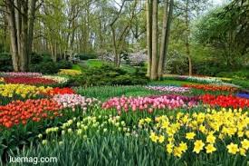 Maybe you would like to learn more about one of these? How Deep Should Flower Beds Be