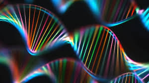Five years after his daughter's disappearance, danish police officer rolf discovers a fatal flaw in the dna database and might finally be able to find her. Uk Biobank Dna To Unlock Coronavirus Secrets Bbc News