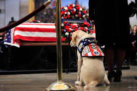 Sully visits former president Bush's casket