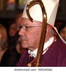 98+ Thousand Southern Red Bishop Euplectes Orix Royalty-Free Images, Stock  Photos & Pictures