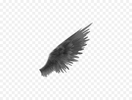 Nathan april 8th, 2011 at 3:00 pm Black Wings Png Transparent Image Side View Angel Wing Png Wing Png Free Transparent Png Images Pngaaa Com