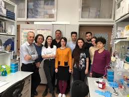 Facultatea de biologie este una dintre facultăţile universităţii din bucureşti. StiinÈa In Cuvinte Potrivite Merge AstÄzi In Departamentul De Enzimologie Al Institutului De Biochimie Al Academiei Romane Radio Romania Cultural