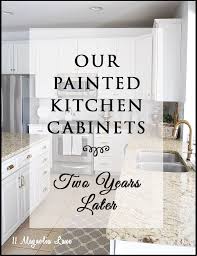 painted kitchen cabinets how they are