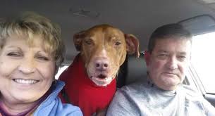 Terry W. Wolaver Obituary January 15, 2024