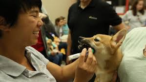 Austin startup Embark