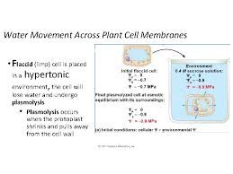 Apr 28, 2017 · for example, in the diagram below, the solution around the cell is hypertonic, meaning that it has a higher concentration of solute, so a lower water potential, than the inside of the cell. Chapter 7 Membrane Structure And Function Cell Membrane