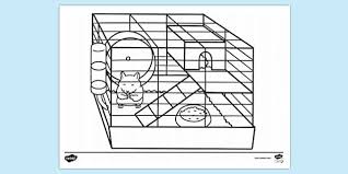 Amongst numerous benefits, it will teach your little acrobat to focus, to develop motor skills, and to help recognize colors. Hamster In A Cage Colouring Sheet Colouring Sheets