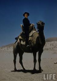 A knight without armor in a savage land. Have Gun Will Travel