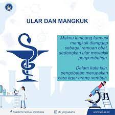 Pengalaman pertama tinggal di rumah penginapan (kost) pengalaman pertama tinggal di rumah penginapan (kost) memang agak terkejut sedikit sebab gambar dan suasana sebenar agak berbeza. Ada Yang Tahu Makna Akademi Farmasi Indonesia Yogyakarta Facebook