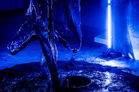 Bildergebnis für Joshua Serafin