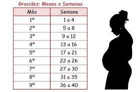25 Semanas Sao Qtos Meses Maio De 2018 Babycenter