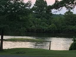 15 cabins, 38 rv sites, resort pool, conference room, game room, boat. Cedar Cabin Style House On Toledo Bend In Noble Hotel Rates Reviews On Orbitz