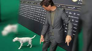 #doctor's diary #marc meier #florian david fitz #maria hassmann #julia koschitz #i did this in english because i noticed that there are a lot non german fans out there #if. Elmo Entfuhrung Florian David Fitz Hund Wurde Gestohlen