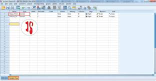 Langkah Analisis Deskriptif Dengan Spss Jendela Statistika