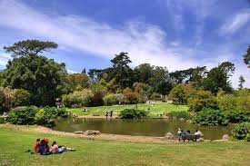 The San Francisco Botanical Gardens Were A Favorite Picnic Place Lot S Of Beautiful Hidden Spots Tucked Away Along The Paths Golden Gate Park Golden Gate Park