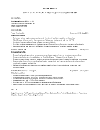 litigation paralegal resume examples