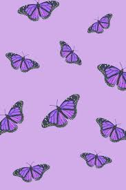 Butterfly is an aesthetic based on the insect of the same name. Aesthetic Purple Butterfly Wallpapers Wallpaper Cave