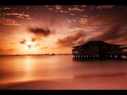Bruit De La Mer Chant Des Oiseaux Detendre Youtube Musique Zen Musique Reiki Musique Spirituelle