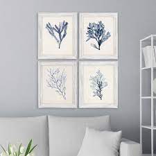 Blue Seaweed Specimens Framed Set Of Four Sea Wall Decor Traditional Wall Art Framed Wall Art