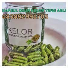 Kapsul Daun Kelor Asli Kelor